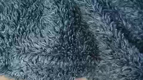 nineinchhard online show from 19, 2, 2026