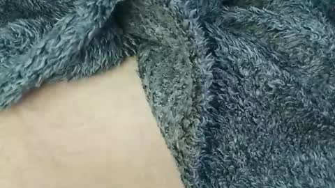 nineinchhard online show from 24, 2, 2026