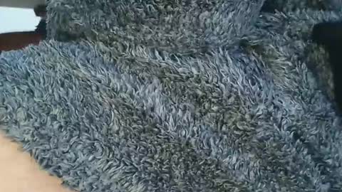 nineinchhard online show from 6, 4, 2026