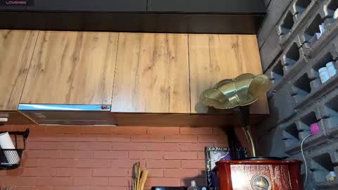 Snapshot of nloraaa chatting on 9, 2, 2026 Tears Lora online show from 9, 2, 2026