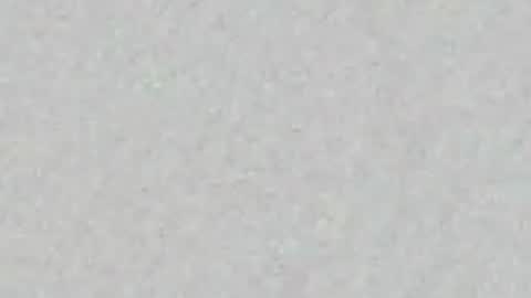 Noa  online show from 3, 7, 2026
