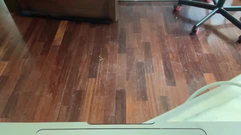 Archangel online show from 25, 4, 2026