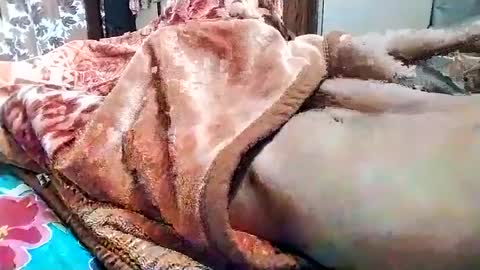 Snapshot of nooby942461 chatting on 1, 3, 2025 sim nib online show from 1, 3, 2025