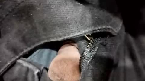 sim  nib online show from 20, 11, 2025