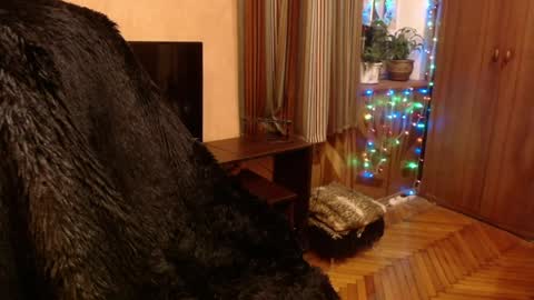 miss Tress online show from 28, 12, 2024