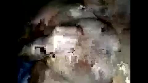 normajeen77777 online show from 14, 4, 2026