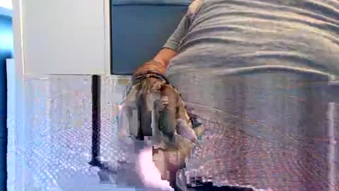 northerndaddy online show from 23, 9, 2025