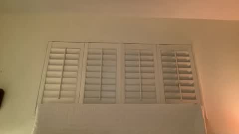 noscandal online show from 14, 11, 2025