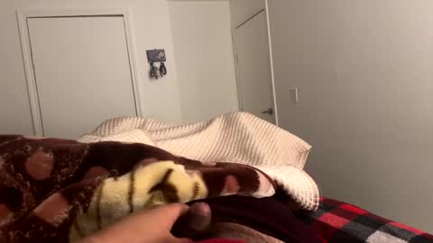 se le perdio algo perra hp online show from 24, 2, 2025