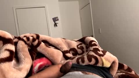 se le perdio algo perra hp online show from 7, 3, 2025