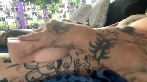 notapouta online show from 28, 12, 2024