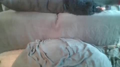 Snapshot of nova_kanee chatting on 19, 4, 2026 Nova online show from 19, 4, 2026
