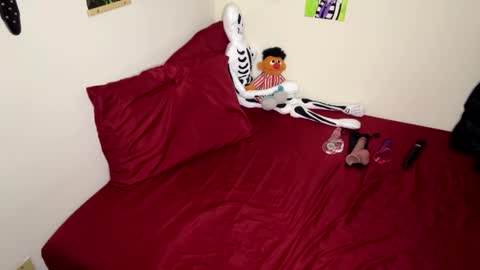 Nymphaea online show from 14, 11, 2025