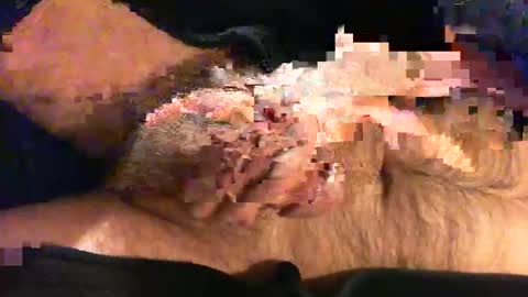 o269x2 online show from 9, 11, 2025