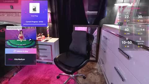 Obsidian stallion online show from 5, 10, 2025