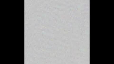 Obsidian stallion online show from 17, 11, 2025