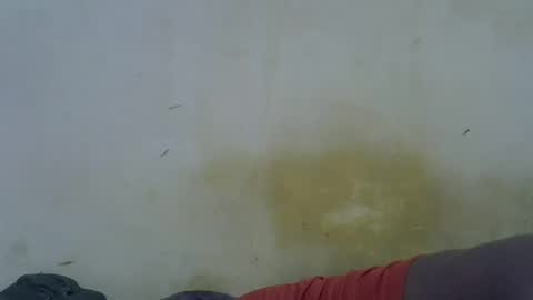Snapshot of oceanwavves chatting on 16, 5, 2026 Paloma online show from 16, 5, 2026