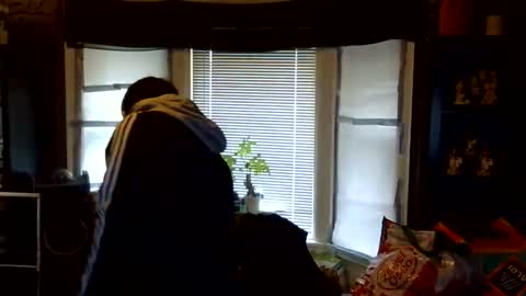 oscar flores online show from 12, 2, 2026