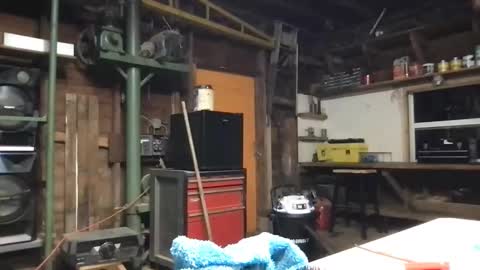 ofthatguy online show from 21, 3, 2026