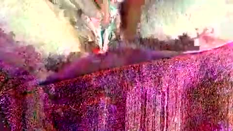 ohlalamama13 online show from 17, 3, 2026