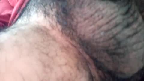 oigreshi online show from 26, 12, 2024