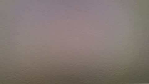 Snapshot of olivier_equinoxe chatting on 2, 6, 2026 Olivia online show from 2, 6, 2026