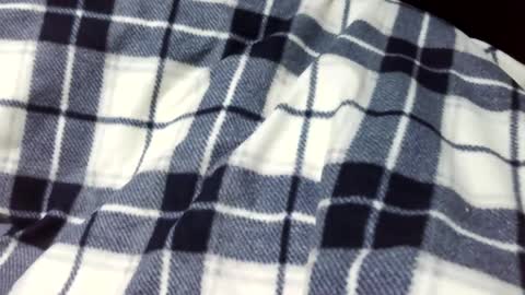 Snapshot of onanii21 chatting on 14, 1, 2025 onanii21 online show from 14, 1, 2025