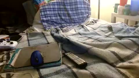 Mattu online show from 31, 10, 2025