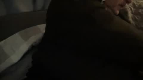 Snapshot of onthedlhere chatting on 24, 12, 2024 onthedlhere online show from 24, 12, 2024