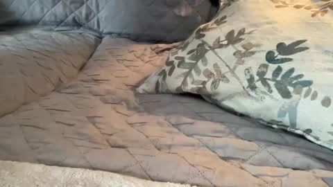 Snapshot of onthedlhere chatting on 9, 1, 2025 onthedlhere online show from 9, 1, 2025