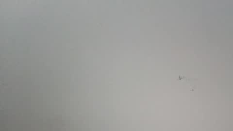 oooxxxrrr online show from 12, 1, 2026