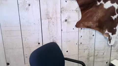 Snapshot of openmindedcowboy chatting on 24, 2, 2025 kinkynerd online show from 24, 2, 2025