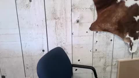 Snapshot of openmindedcowboy chatting on 1, 11, 2025 kinkynerd online show from 1, 11, 2025