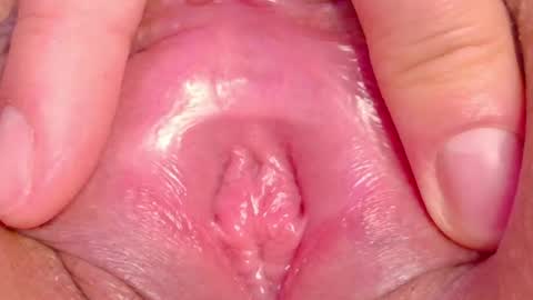 orchidekitty online show from 28, 5, 2026