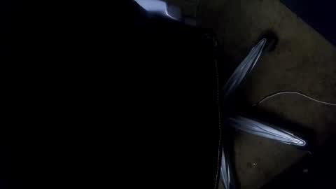 Snapshot of orgasmgiver9090 chatting on 7, 11, 2025 orgasmgiver9090 online show from 7, 11, 2025