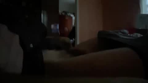 originreal online show from 16, 12, 2025