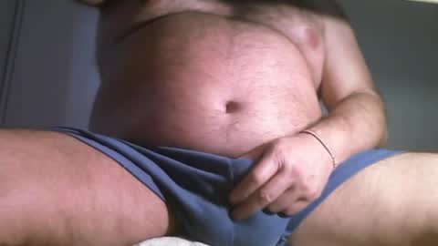 Oso Licencioso online show from 8, 4, 2026