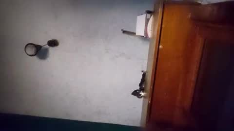 pablo6234516161 online show from 2, 11, 2025