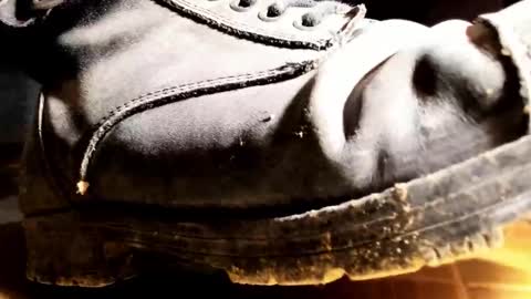 Pablo Meness online show from 31, 1, 2026