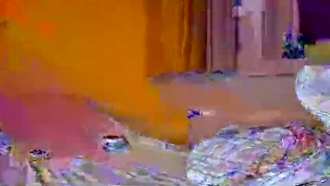 Pachoxx9 online show from 1, 2, 2025