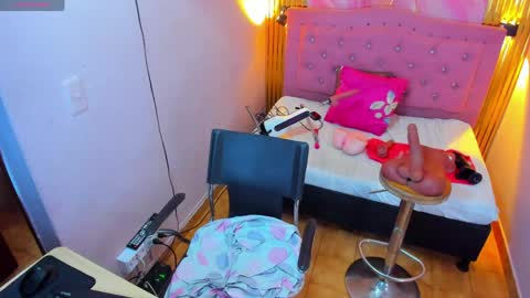 PALOMA 3 online show from 1, 4, 2026