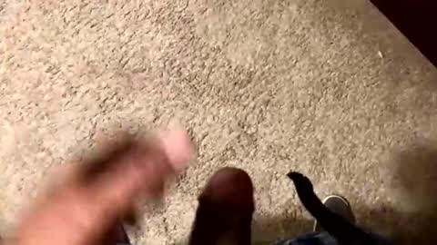 palote_69 online show from 15, 11, 2025