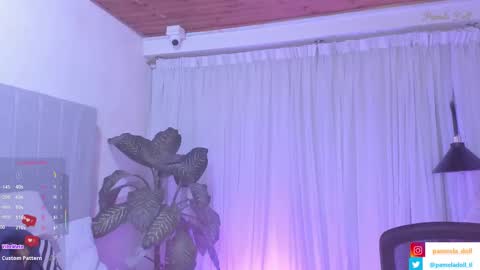 Snapshot of pamela_doll3 chatting on 23, 2, 2025 pamela online show from 23, 2, 2025
