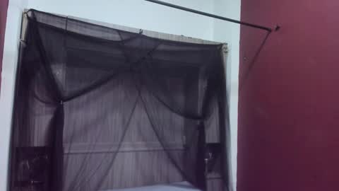  P A M  online show from 22, 2, 2026