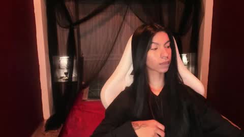  P A M  online show from 25, 2, 2026