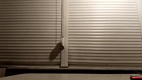 angel hris online show from 14, 1, 2026