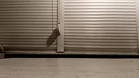 angel hris online show from 25, 2, 2026