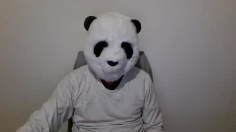 Snapshot of panda_feliz chatting on 6, 12, 2024 Panda online show from 6, 12, 2024