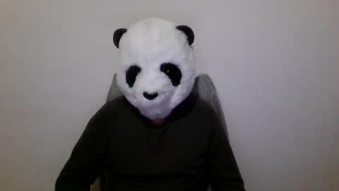 Snapshot of panda_feliz chatting on 7, 12, 2024 Panda online show from 7, 12, 2024