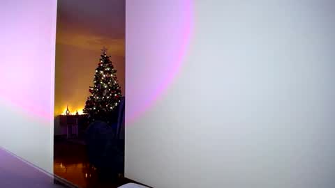 pandora__1 online show from 5, 11, 2025